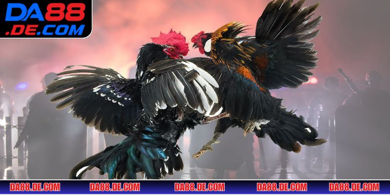 Điểm qua vài siêu phẩm cực cuốn hút hiện góp mặt ở sảnh