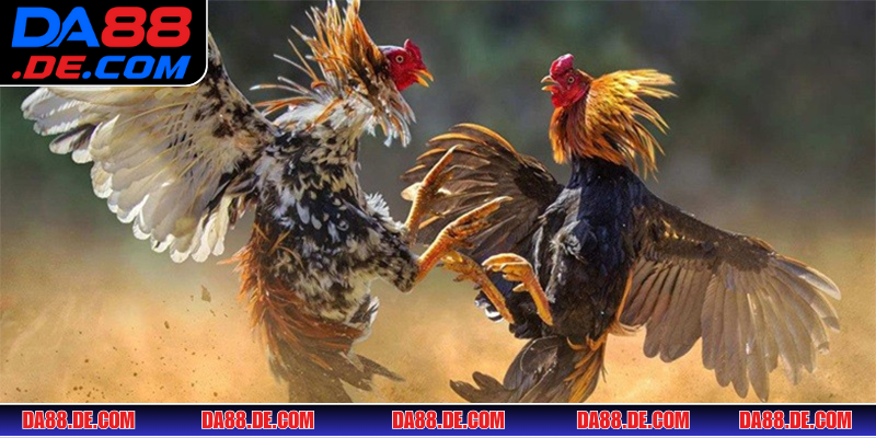 Top nhà cung cấp game online cực chất lượng hàng đầu thế giới